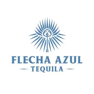 Flecha Azul company logo